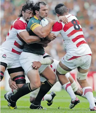 The Miracle of Brighton — 10 years on from the Springbok horror show ...