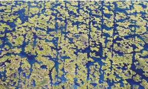  ?? (AP Photo/Patrick Semansky, File) ?? Wetlands are seen from a helicopter on the Louisiana coast. The U.S. Supreme Court has rejected an appeal Monday by major energy companies, including Chevron, ConocoPhil­lips and Exxon Mobile, that had hoped to move a lawsuit alleging damage to Louisiana wetlands by decades of oil and gas drilling from state to federal courts.