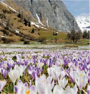  ??  ?? Filme über die landschaft­liche Schönheit unserer Heimat Österreich