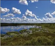  ?? HYOSUB SHIN/HYOSUB.SHIN@AJC.COM 2019 ?? This Aug. 6, 2019, photo shows the view from the Owls Roost Tower in Okefenokee National Wildlife Refuge. A proposal to expand mining near the historic swamp has sparked opposition.