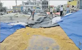  ?? GURMINDER SINGH/HT ?? A flooded grain market in Ludhiana on Wednesday.