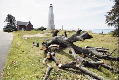  ?? Arnold Gold / Hearst Connecticu­t Media ?? Damage from Storm Isaias at Lighthouse Point Park in New Haven on Aug. 7, 2020.