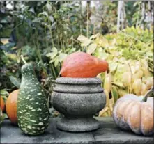  ?? JOHN DOLAN — MARTHA STEWART LIVING VIA AP ?? This undated photo provided by Martha Stewart Living shows an urn surrounded by some pumpkins, giving it a Halloween theme. Halloween offers the first big chance of fall to decorate your home, and there are lots of ways — from spooky to sweet — to get...