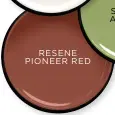  ?? ?? RESENE PIONEER RED