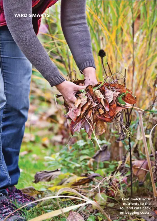  ??  ?? Leaf mulch adds nutrients to the soil and cuts back on bagging costs.