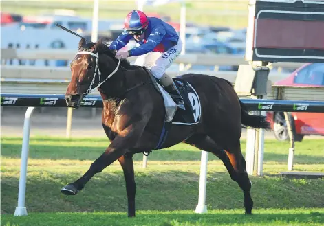  ?? Picture / Grant Peters ?? Chocante will be expected to go close in the A$ 150,000 Kingston Town Stakes at Randwick today.