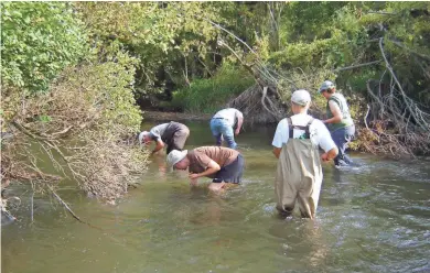  ?? EVA LEWANDOWSK­I ?? Members of the Upper Sugar River Watershed Associatio­n add plain pocketbook mussels to the river in Dane County in 2017.