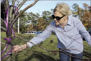  ?? Arkansas Democrat-Gazette/THOMAS METTHE ?? Laurie Jernigan, mother of Ebby Steppach, adjusts the plaque after the dedication ceremony for the tree planted in Steppach’s honor on Sunday at Chalamont Park in Little Rock.