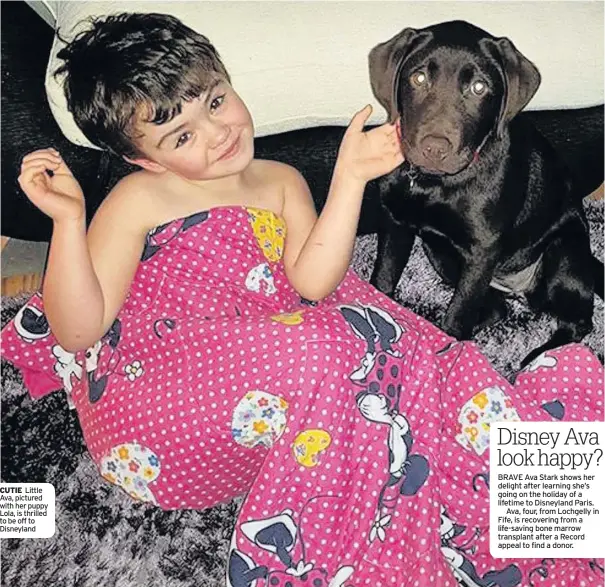  ??  ?? CUTIE Little Ava, pictured with her puppy Lola, is thrilled to be off to Disneyland