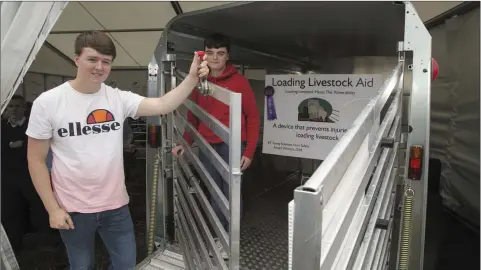  ??  ?? Jack and Alex Brady displaying their farm safety project, which they won a farm safety prize for at the BT Young Scientist &amp; Technology Exhibition 2018, at the ABP Farm Safety stand at the Tullamore Agricultur­e Show.