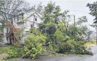  ?? BRENDYN CREAMER ?? Fiona was proof enough that even trees that seem healthy could become hazardous during poor weather conditions.