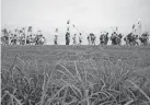  ?? REBECCA BLACKWELL/AP ?? Farmworker­s and allies march past fields at the start of a five-day trek aimed at highlighti­ng the Fair Food Program Tuesday in Pahokee, Fla. The marchers were on schedule to arrive Saturday in the town of Palm Beach.