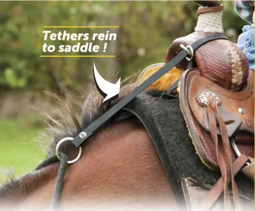  ??  ?? Tethers rein to saddle !