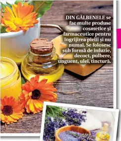  ??  ?? DIN GĂLBENELE se fac multe produse cosmetice și farmaceuti­ce pentru îngrijirea pielii și nu numai. Se folosesc sub formă de infuzie, decoct, pulbere, unguent, ulei, tinctură.