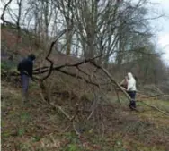  ?? FOTO RR ?? Enkele werkgestra­ften ruimen een omgevallen boom op in het natuurgebi­ed De Maten in Genk.