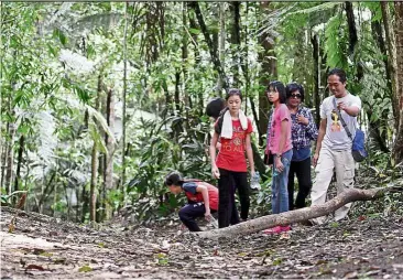  ??  ?? Nature walk: The runner-u teams ill be able to tre and enjoy the lush greenery of the Malaysian ith the hel of ualified guides. ile hoto