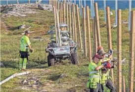  ?? HT GJERDE FINNMARK VIA AP ?? Norway is rebuilding a section of fence along its border with Russia to contain wandering reindeer, Norwegian officials said Thursday, adding 42 animals have crossed into its eastern neighbor this year.