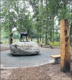  ??  ?? Bradgate Memorial Wood is celebratin­g a successful first anniversar­y.