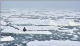  ?? REUTERS FILE ?? Activist Mya-rose Craig, 18, sits on an ice floe in the middle of Arctic Ocean demanding action on climate crisis.
