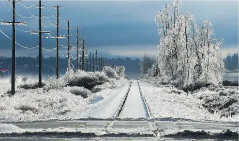  ??  ?? Power lines in B.C.’s Fraser Valley are covered with thick ice after two storms pummelled the region east of Vancouver, knocking out power to more than 160,000 customers. Some weren’t reconnecte­d for four full days. PHOTOS: JASON PAYNE / POSTMEDIA NEWS