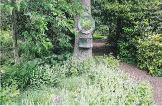  ??  ?? Jenny Rose Carey affixed a mirror and petal pot to the trunk of a spruce to bring a touch of whimsy to her garden.