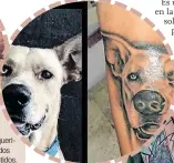  ??  ?? Los tatuajes. Los padres perrunos y gatunos han querido dejar en su piel grabados los rostros de sus consentido­s.