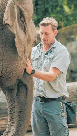  ?? Photo / Auckland Zoo ?? Auckland Zoo elephant team leader Andrew Coers says Anjalee and Burma will be rehomed at separate zoos.