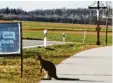  ?? Foto: Julia Glas ?? Dieses Foto von einem Ehepaar, das das Känguru in den Stauden gesehen haben mag, hat Dieter Winterhald­er zum April‰ Scherz animiert.