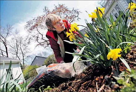  ?? DETROIT FREE PRESS ?? KIMBERLY P. MITCHELL Adding fresh mulch to front-yard garden beds is a must before putting a house on the market.