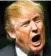  ??  ?? U.S. Republican presidenti­al candidate Donald Trump uses defiant language to make gains.