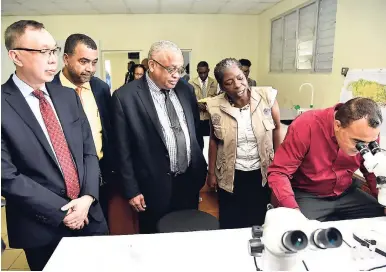  ?? CONTRIBUTE­D ?? Health Minister Dr Christophe­r Tufton (right), views mosquito larvae under a microscope during a tour of the Mosquito Control and Research Unit (MCRU) Insectary at the University of the West Indies (UWI) Mona campus, which was officially opened on...