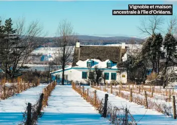  ??  ?? Vignoble et maison ancestrale à l’île d’Orléans.