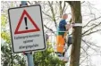  ?? Foto: dpa ?? Baumpflege­r installier­en wieder Fallen für Eichenproz­essionsspi­nner.