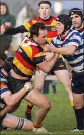  ??  ?? Hamilton Park action. Pic: Donal Hackett.