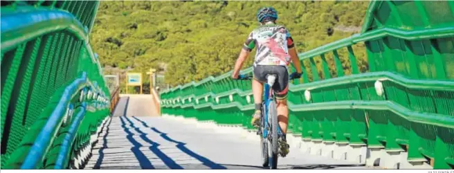  ?? JULIO GONZÁLEZ ?? Un ciclista baja uno de los puentes para alcanzar un sendero entre los pinares de Puerto Real.