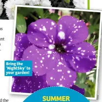  ??  ?? Bring the ‘NightSky’ to your garden!