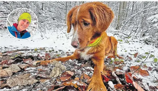  ?? ?? Hündin Pepper und Frauerl Carolin Scheiter sind in der Lage, Wölfe aufzuspüre­n. Der Hund kann die Exkremente des Raubtieres genau detektiere­n