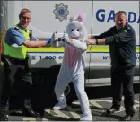  ??  ?? hop it: Community gardaí in Crumlin play a trick on Mr E Bunny
