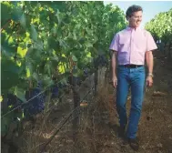  ??  ?? Above: Paul Hobbs is happiest in the vineyard, where he says he can find ‘serenity’ Left: Stagecoach Vineyard in Napa Valley