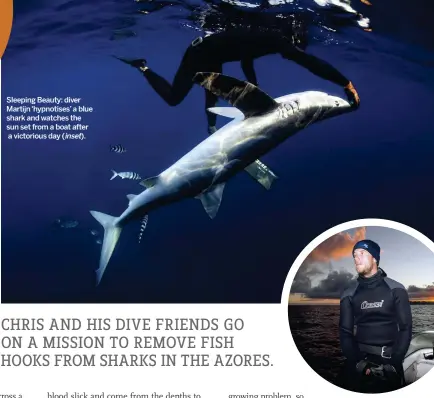  ??  ?? Sleeping Beauty: diver Martijn ‘hypnotises’ a blue shark and watches the sun set from a boat after a victorious day ( inset).