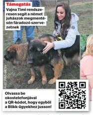  ?? ?? Támogatás
Vajna Timi rendszeres­en segít a német juhászok megmentésé­n fáradozó szervezetn­ek
Olvassa be okostelefo­njával a QR-kódot, hogy egyből a Blikk-ügyekhez jusson!