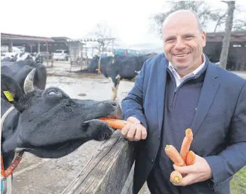  ?? FOTO: ALEXANDER TUTSCHNER ?? Mit Karotten fängt man offenbar Kühe: Martin Hahn kennt sich aus mit Fleckvieh.