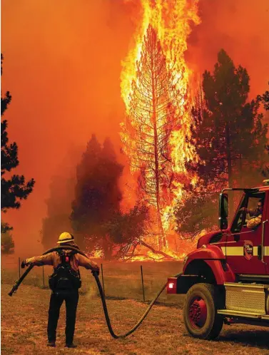  ?? AP ?? Un bombero lucha contra las llamas en el condado de Mariposa