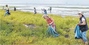  ?? FOTO: ANDY HEINRICH ?? Vorbildlic­h: Über 30 freiwillig­e Helfer beteiligen sich am Schwedistr­and in Langenarge­n an der internatio­nalen Aktion Rhine-Clean-Up.