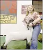  ??  ?? Addison Harlow,a member of Prairie Grove FFA, participat­ed in the junior livestock auction at the Washington County Fair.