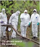  ?? ?? CSI officers search the woodland