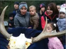  ??  ?? A group participat­ing in last week’s Clifton Park’s nighttime nature walk get a close look at the antlers and skeletal head of a moose calf