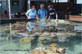  ??  ?? Reef Pool, Orpheus Island