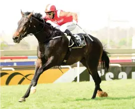  ??  ?? SWEET 16. Alssakhra runs his 16th race tomorrow at the Vaal and will hopefully record his second victory in Race 6.