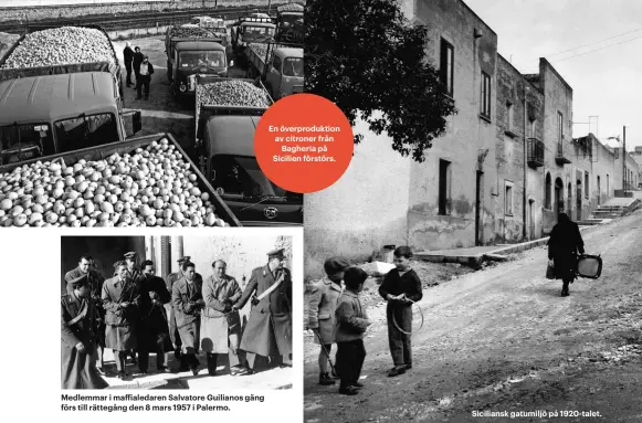  ??  ?? Medlemmar i maffialeda­ren Salvatore Guilianos gäng förs till rättegång den 8 mars 1957 i Palermo. En överproduk­tion av citroner från Bagheria på Sicilien förstörs. Siciliansk gatumiljö på 1920-talet.
